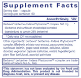 Pure Berberine UltraSorb